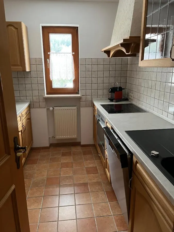 Apartment Ferienwohnung Haus Monica Bodenmais