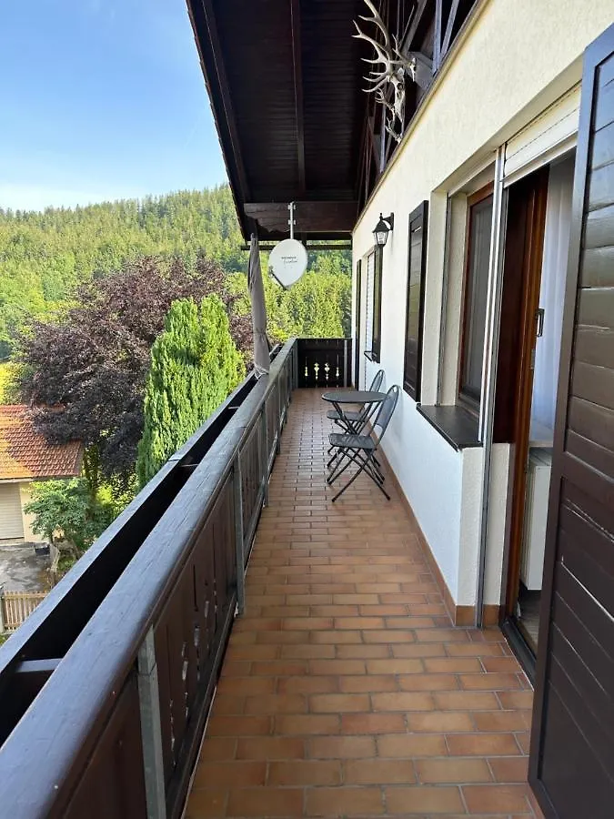 Ferienwohnung Haus Monica Bodenmais